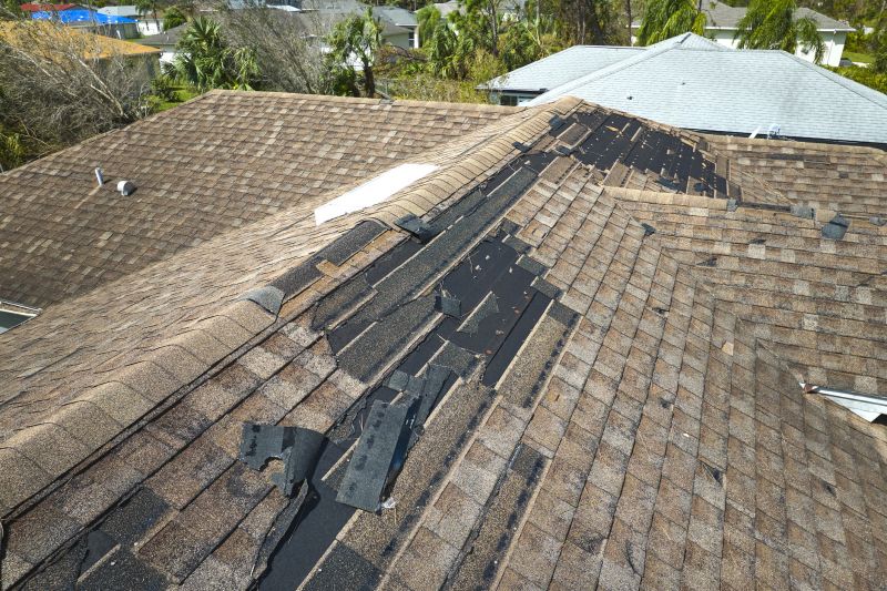 Roof Inspection Service
